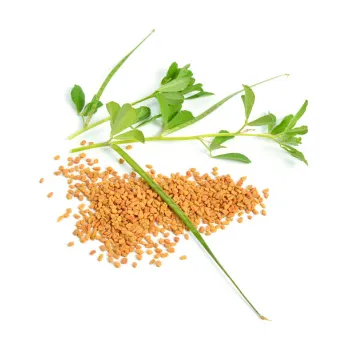 Natural Dried Fenugreek Leaves